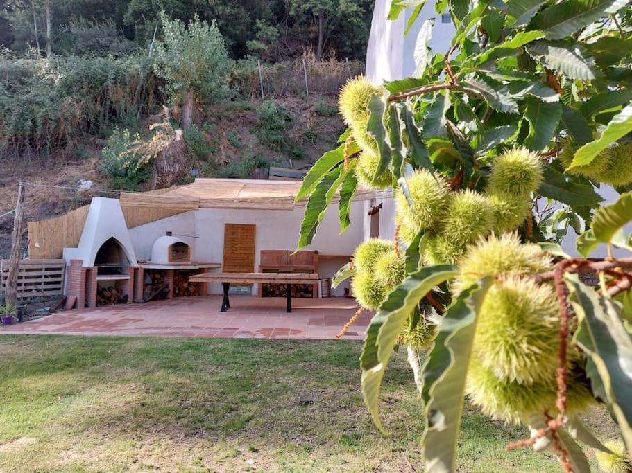 Casa Barranco Villa คูซการ์ ภายนอก รูปภาพ